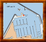 thumb1_pianta.jpg (29141 byte)